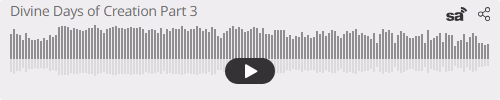 Audio player thumbnail for Six Divine Days of Creation Part 3 – Genesis 1:20-25