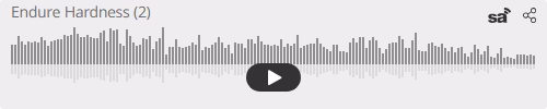 Audio player thumbnail for Endure Hardness (2)